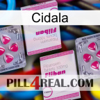 Cidala 33
